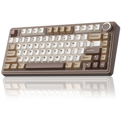 AULA F75 75% Wireless Mechanical Keyboard,2.4Ghz/Type-C/BT5.0 Gaming Keyboards,Advanced Structure,Side Engraved,RGB Backlight,Hot Swappable Custom Keyboard for PC/Mac (Black)