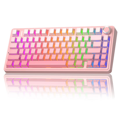 AULA F75 75% Wireless Mechanical Keyboard,2.4Ghz/Type-C/BT5.0 Gaming Keyboards,Advanced Structure,Side Engraved,RGB Backlight,Hot Swappable Custom Keyboard for PC/Mac (Black)