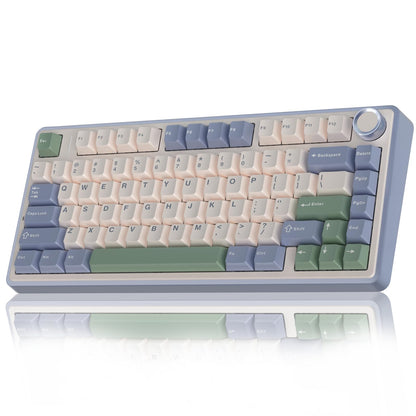 AULA F75 75% Wireless Mechanical Keyboard,2.4Ghz/Type-C/BT5.0 Gaming Keyboards,Advanced Structure,Side Engraved,RGB Backlight,Hot Swappable Custom Keyboard for PC/Mac (Black)