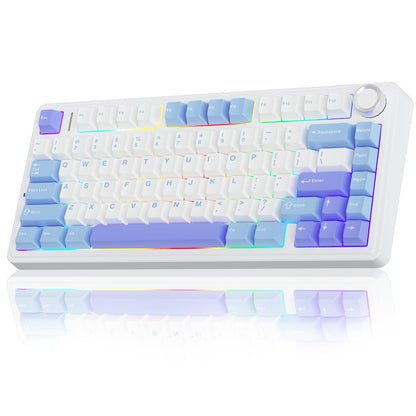 AULA F75 75% Wireless Mechanical Keyboard,2.4Ghz/Type-C/BT5.0 Gaming Keyboards,Advanced Structure,Side Engraved,RGB Backlight,Hot Swappable Custom Keyboard for PC/Mac (Black)