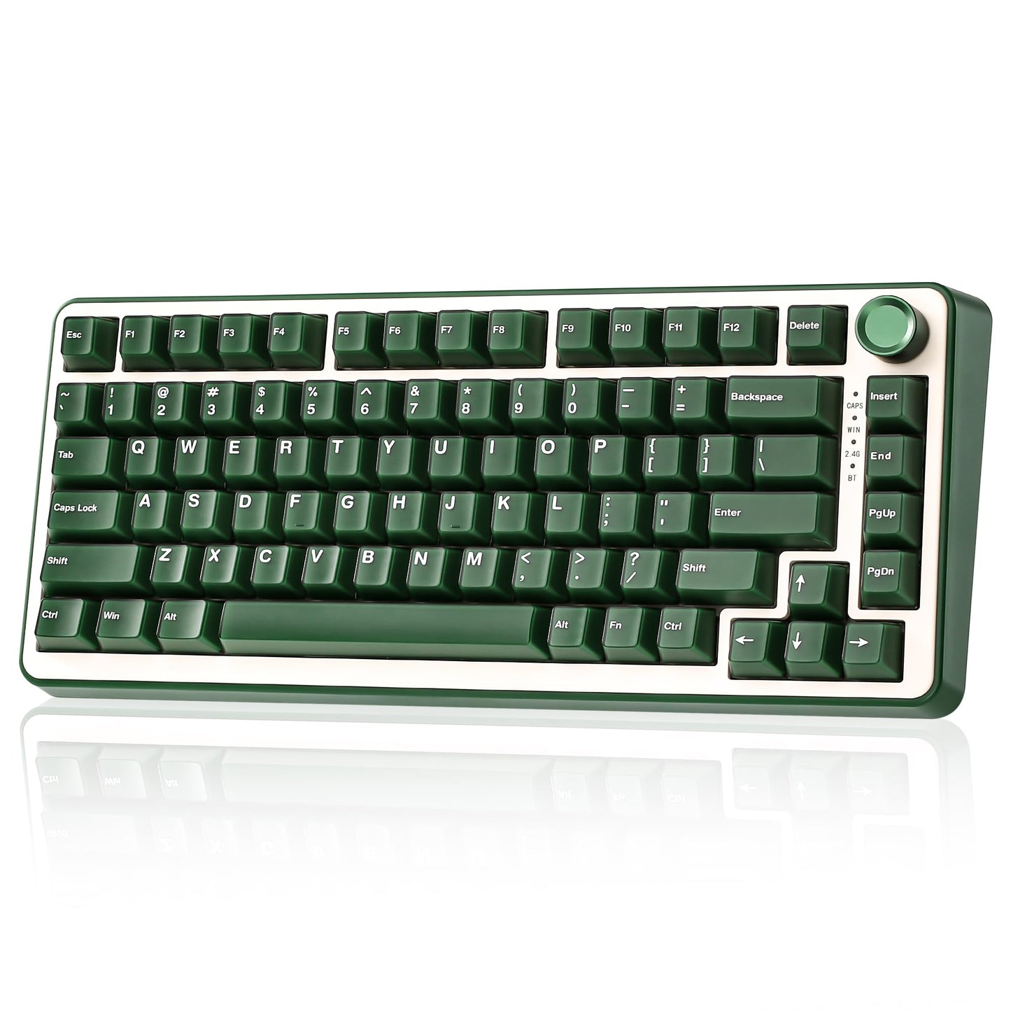 YUNZII B75 PRO Wireless Mechanical Keyboard,75% Gaming Keyboard Gasket Hot Swap Custom Keyboard with Knob,Pre-lubed Switches RGB,Bluetooth/Type-C/2.4G (Matcha Green, Milk Switch)