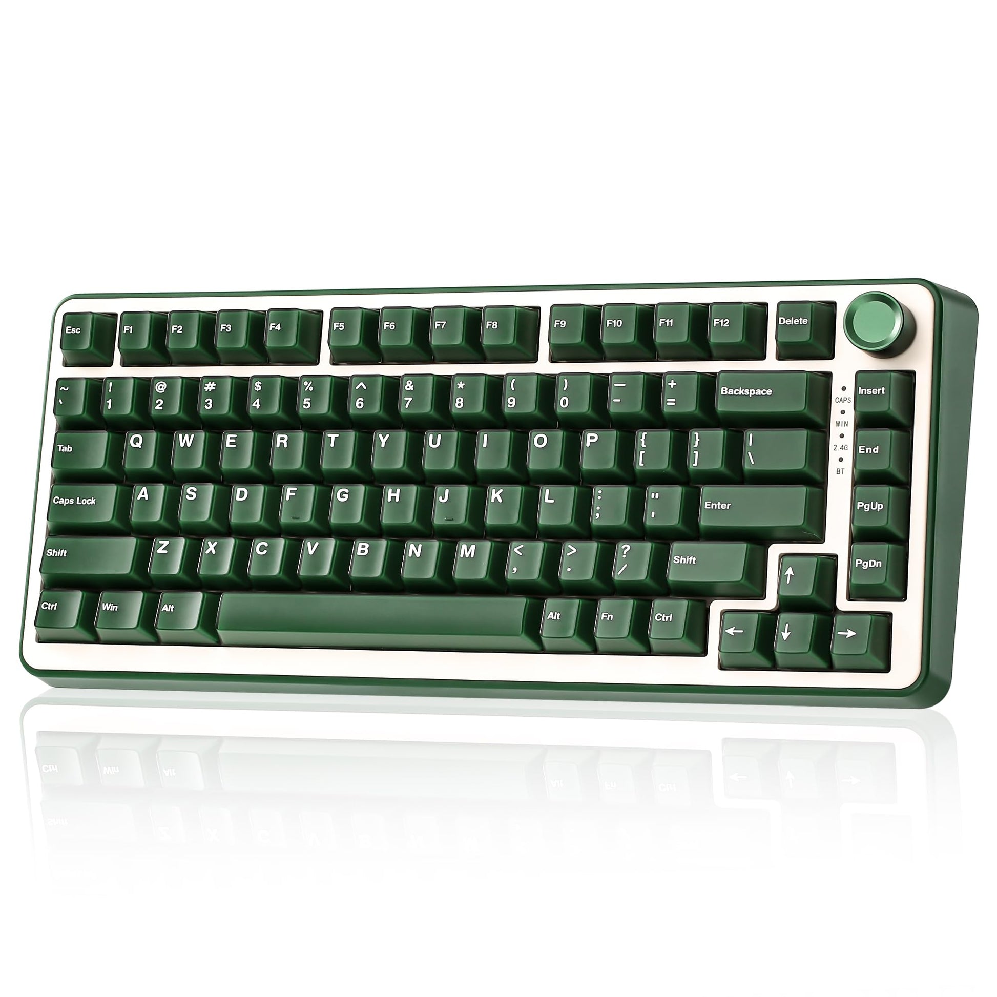 YUNZII B75 PRO Wireless Mechanical Keyboard,75% Gaming Keyboard Gasket Hot Swap Custom Keyboard with Knob,Pre-lubed Switches RGB,Bluetooth/Type-C/2.4G (Matcha Green, Milk Switch)