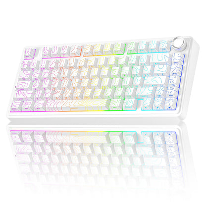 AULA F75 75% Wireless Mechanical Keyboard,2.4Ghz/Type-C/BT5.0 Gaming Keyboards,Advanced Structure,Side Engraved,RGB Backlight,Hot Swappable Custom Keyboard for PC/Mac (Black)