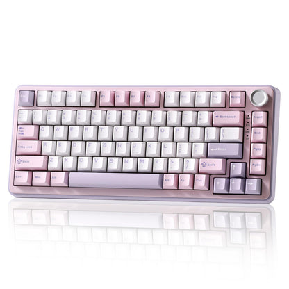 YUNZII B75 PRO Wireless Mechanical Keyboard,75% Gaming Keyboard Gasket Hot Swap Custom Keyboard with Knob,Pre-lubed Switches RGB,Bluetooth/Type-C/2.4G (Matcha Green, Milk Switch)