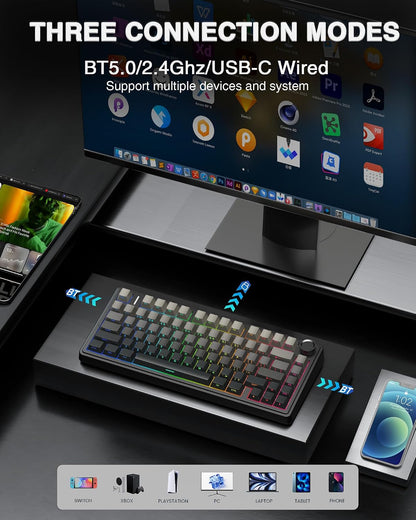 AULA F75 75% Wireless Mechanical Keyboard,2.4Ghz/Type-C/BT5.0 Gaming Keyboards,Advanced Structure,Side Engraved,RGB Backlight,Hot Swappable Custom Keyboard for PC/Mac (Black)