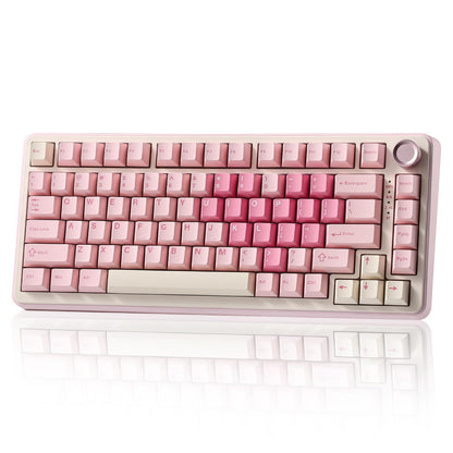 YUNZII B75 PRO Wireless Mechanical Keyboard,75% Gaming Keyboard Gasket Hot Swap Custom Keyboard with Knob,Pre-lubed Switches RGB,Bluetooth/Type-C/2.4G (Matcha Green, Milk Switch)