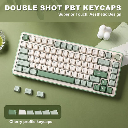 YUNZII B75 PRO Wireless Mechanical Keyboard,75% Gaming Keyboard Gasket Hot Swap Custom Keyboard with Knob,Pre-lubed Switches RGB,Bluetooth/Type-C/2.4G (Matcha Green, Milk Switch)